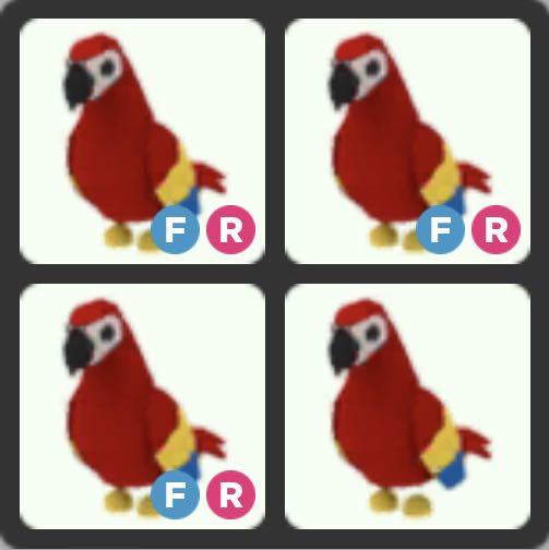Pet X1 For Sale Adopt Me Roblox Fr Parrot Blue Dog Crow Owl Evil Unicorn Turtle Albino Arctic Toys Games Video Gaming In Game Products On Carousell - roblox adopt me owl picture
