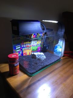 (Category: ) located in . Submitted by Welcome88 (Listing ID 1034315204, Image 1). Description: .