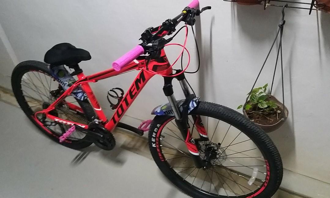 totem armor mtb