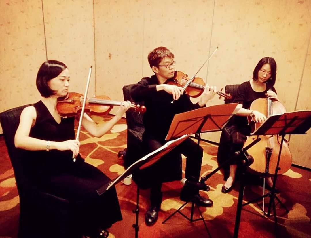 Private violin lesson (Punggol & Queenstown), Learning & Enrichment