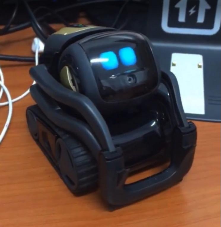 Anki Vector Social Robot Used