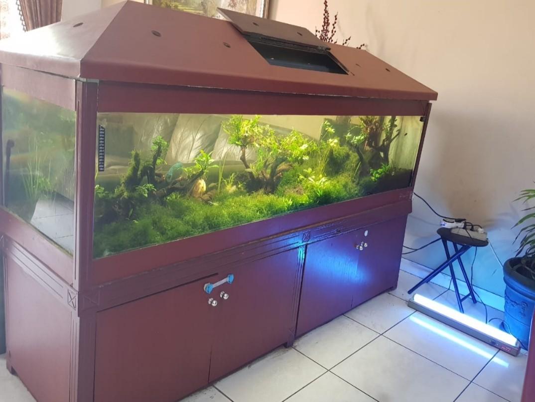Aquarium Air Tawar Bagus Dan Komplit Perlengkapan Hewan Aksesoris Hewan Di Carousell