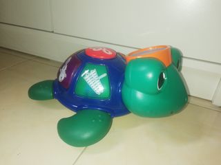 baby einstein turtle music