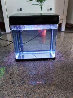 Boyu Fish tank