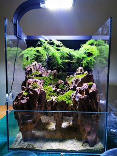 (Category: ) located in . Submitted by yugen.scape (Listing ID 1034556866, Image 1). Description: .
