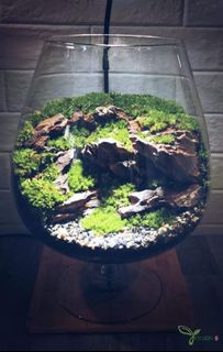 (Category: ) located in . Submitted by yugen.scape (Listing ID 1034558810, Image 1). Description: .