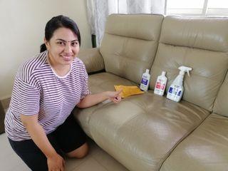 Sofa leather care