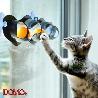 ping pong ball cat toy