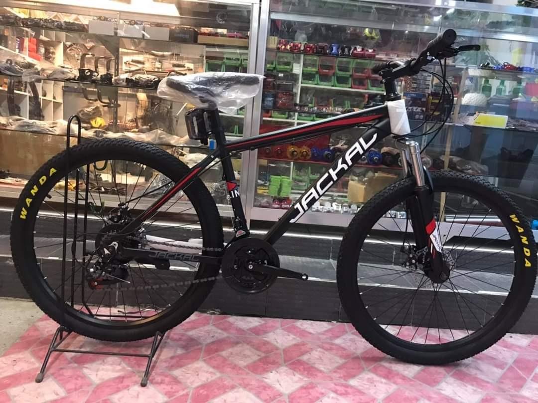 Jackal Mtb 26er 2024 www.kspkotowicecaritas.pl