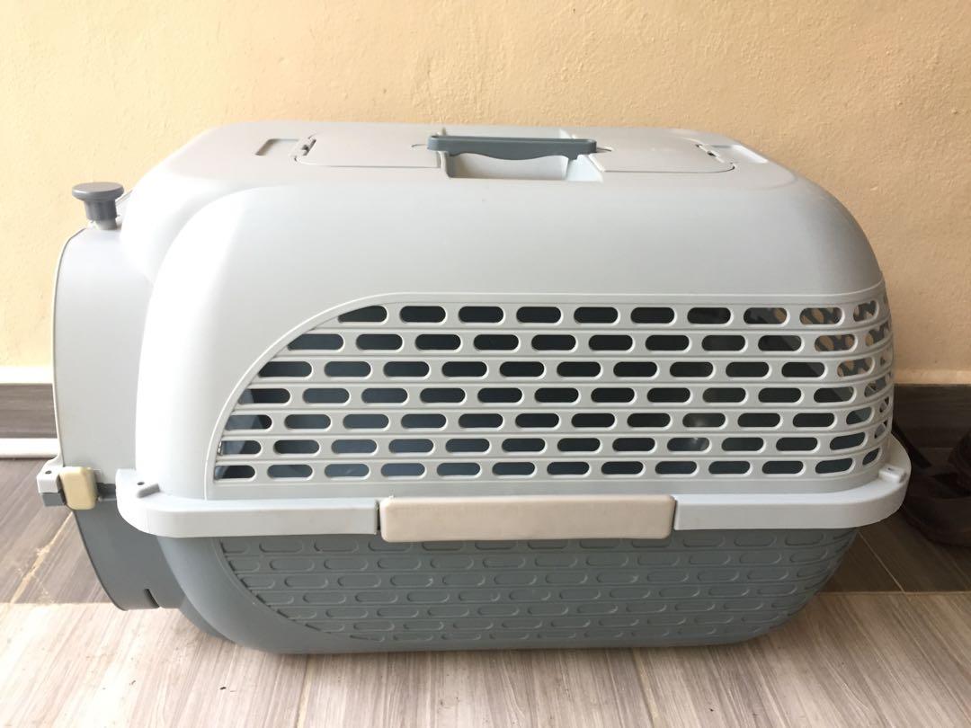 Pet 2025 voyageur 300