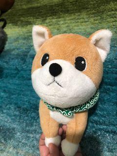 shiba inu preloved