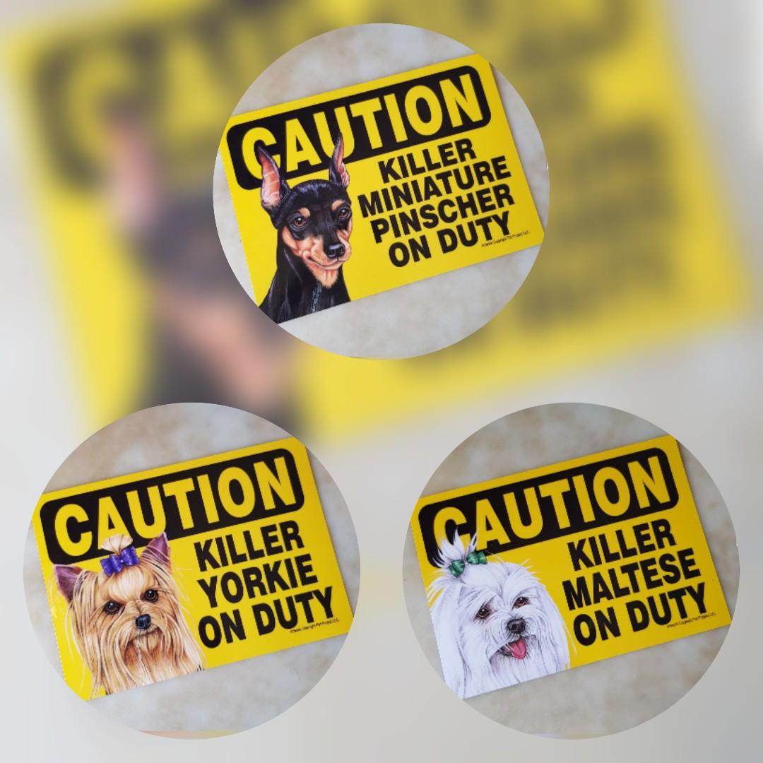 Caution Killer Yorkie Miniature Pinscher Maltese On Duty Plastic Sign Everything Else On Carousell