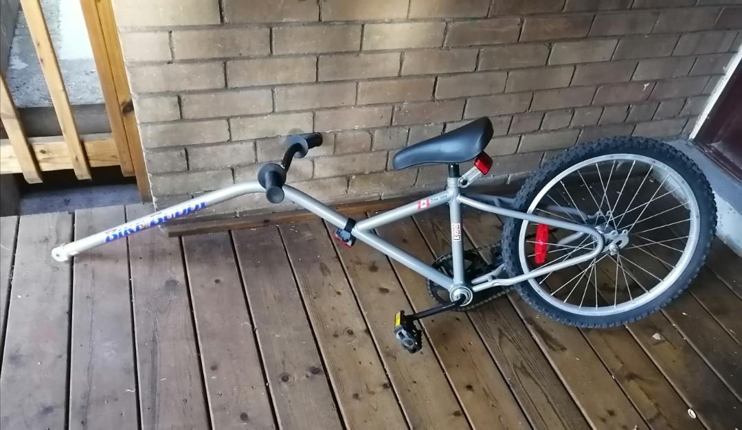 Ccm clearance bike buddy