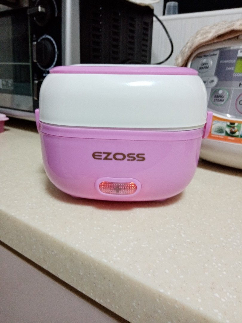 Electrical steamer, Home Appliances, Kitchenware on Carousell