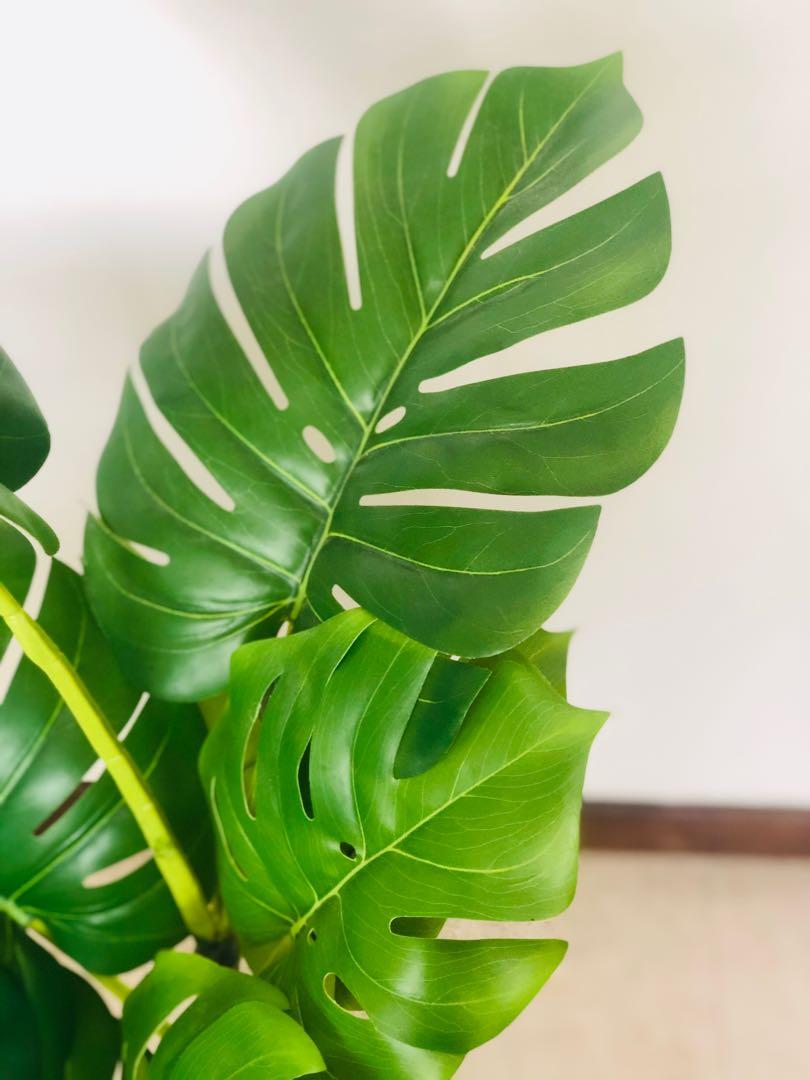 Fejka 90cm tall artificial plant (ikea), Furniture & Home Living, Home