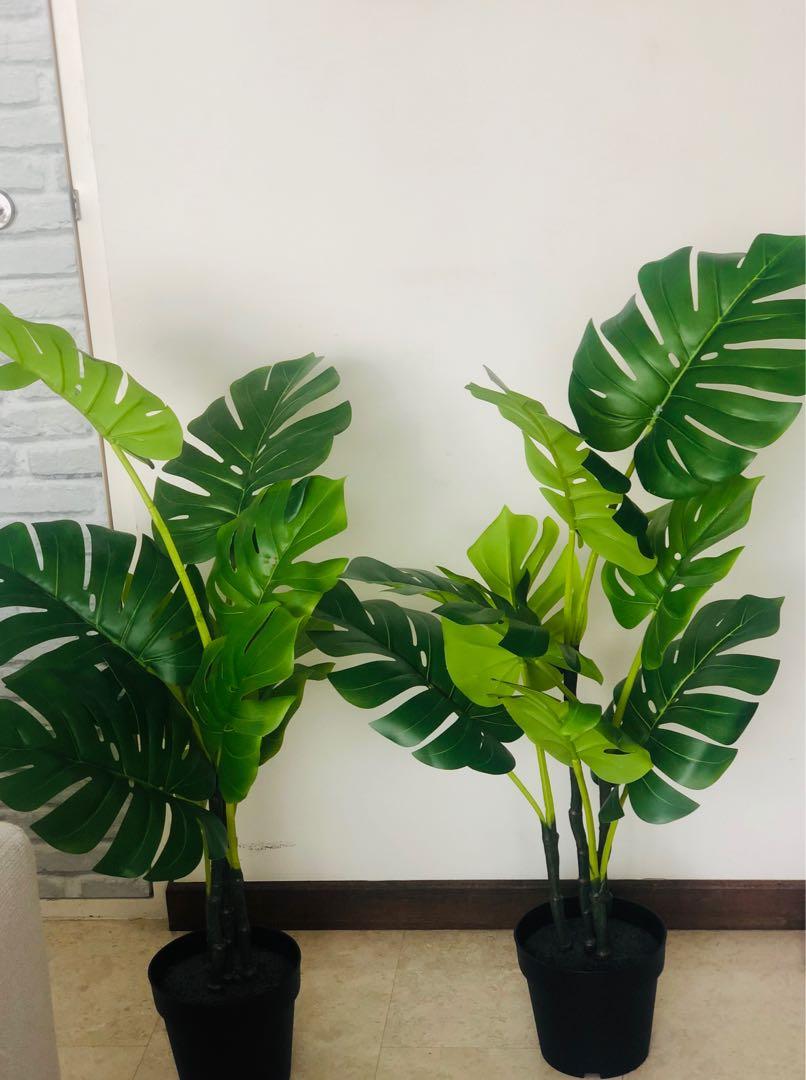 Fejka 90cm Tall Artificial Plant Ikea Gardening Plants On Carousell