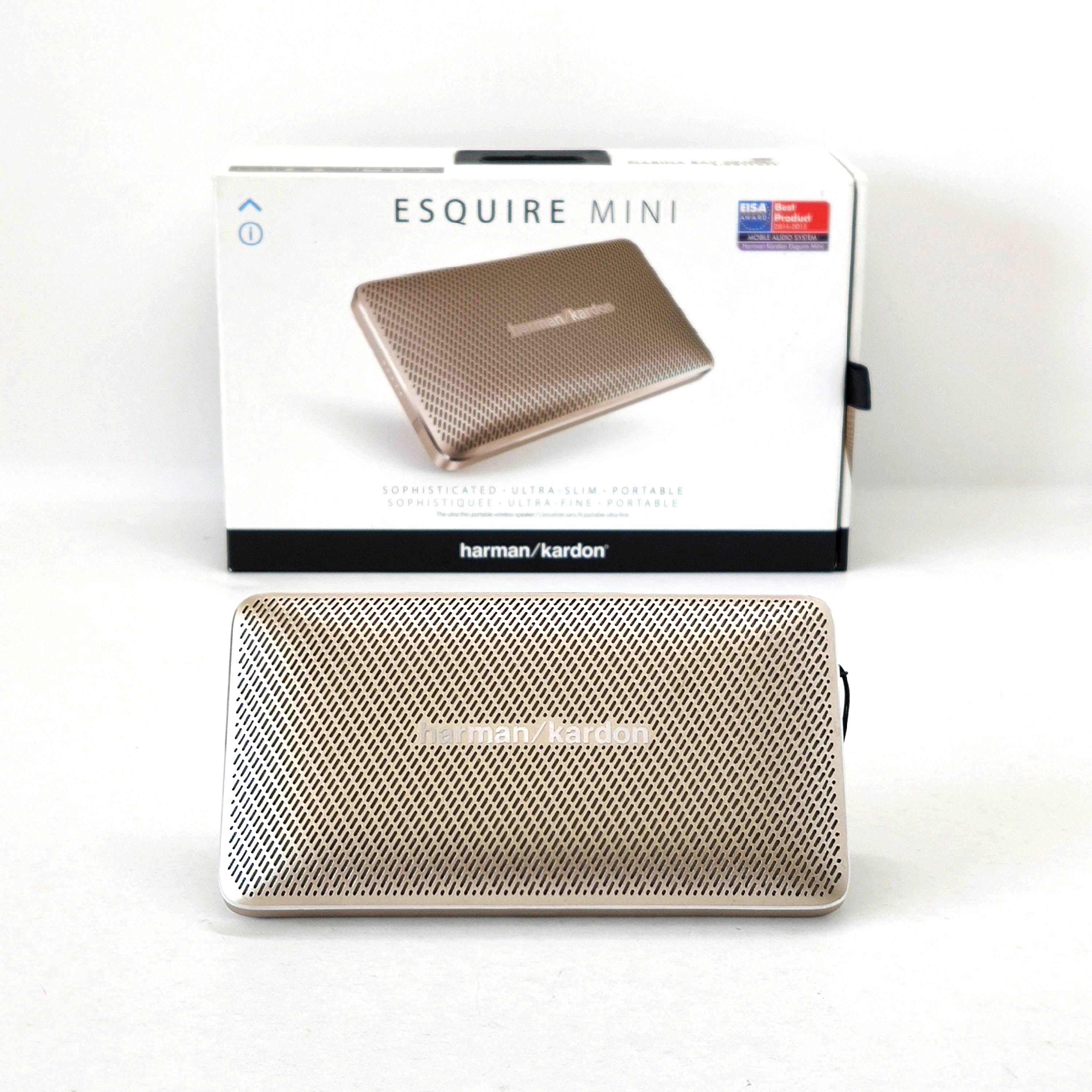 harman kardon esquire mini buzzing