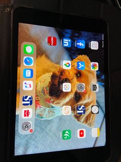 (Category: ) located in . Submitted by suparshi (Listing ID 1034670876, Image 1). Description: .