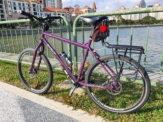 Surly Troll Steel bike