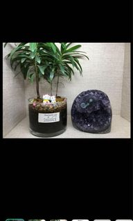 (Category: ) located in . Submitted by bensenooi (Listing ID 1035002270, Image 1). Description: .