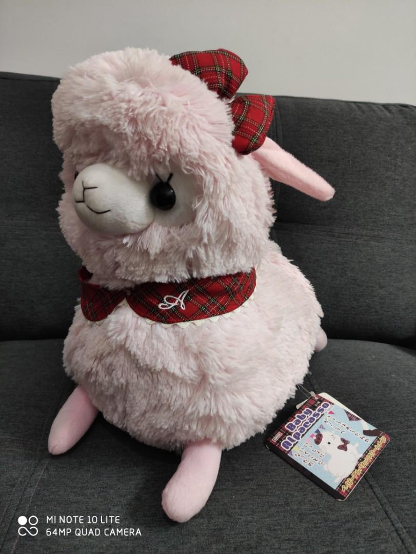 baby alpacasso