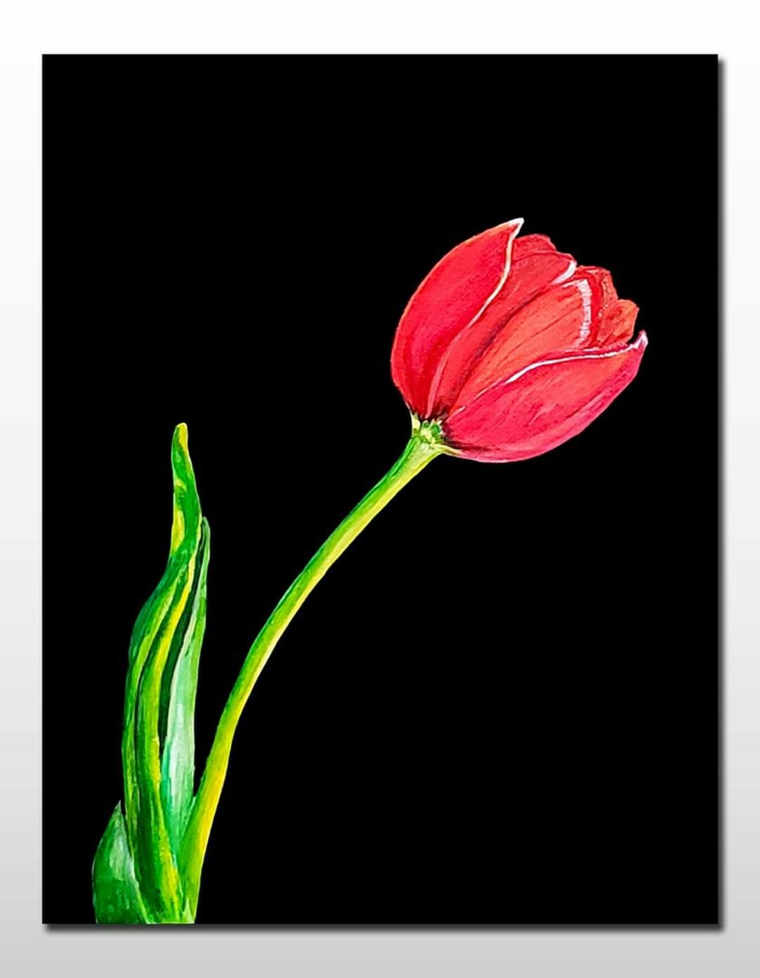 Beautiful Tulip Flower Painting