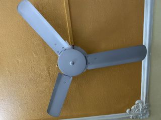 (Category: ) located in . Submitted by sostech (Listing ID 1034908739, Image 1). Description: .