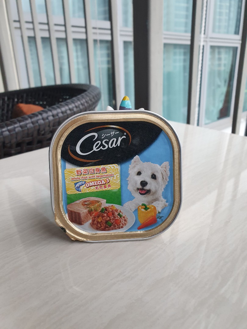 cesar dog food for large dogs