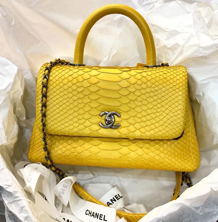 Chanel Python Mini Coco Handle Bag