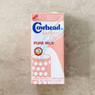 Lactose Free Milk View All Lactose Free Milk Ads In Carousell Philippines