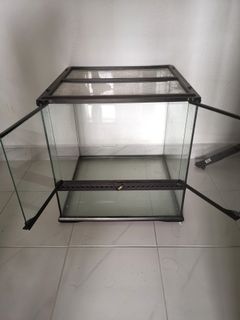 (Category: ) located in . Submitted by terraplants (Listing ID 1034993522, Image 1). Description: .
