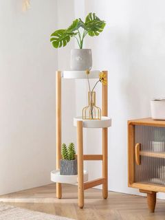 (Category: ) located in . Submitted by crazyplantlovers (Listing ID 1034921722, Image 1). Description: .