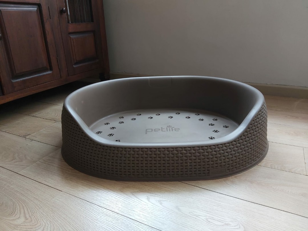 grey plastic dog bed