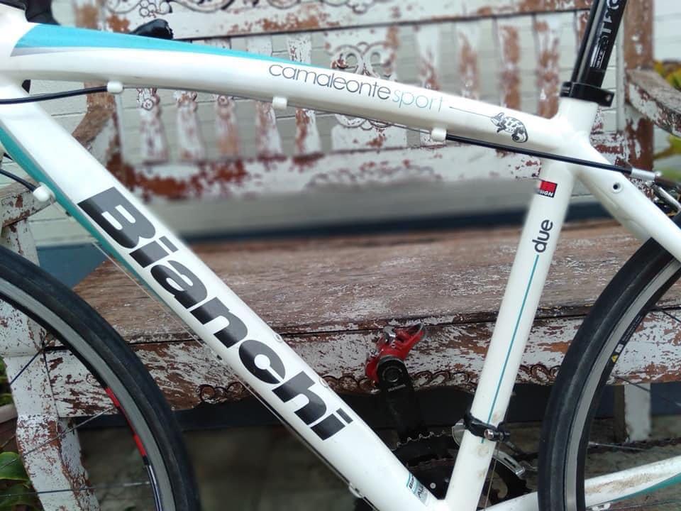 Bianchi camaleonte sport 2025 price