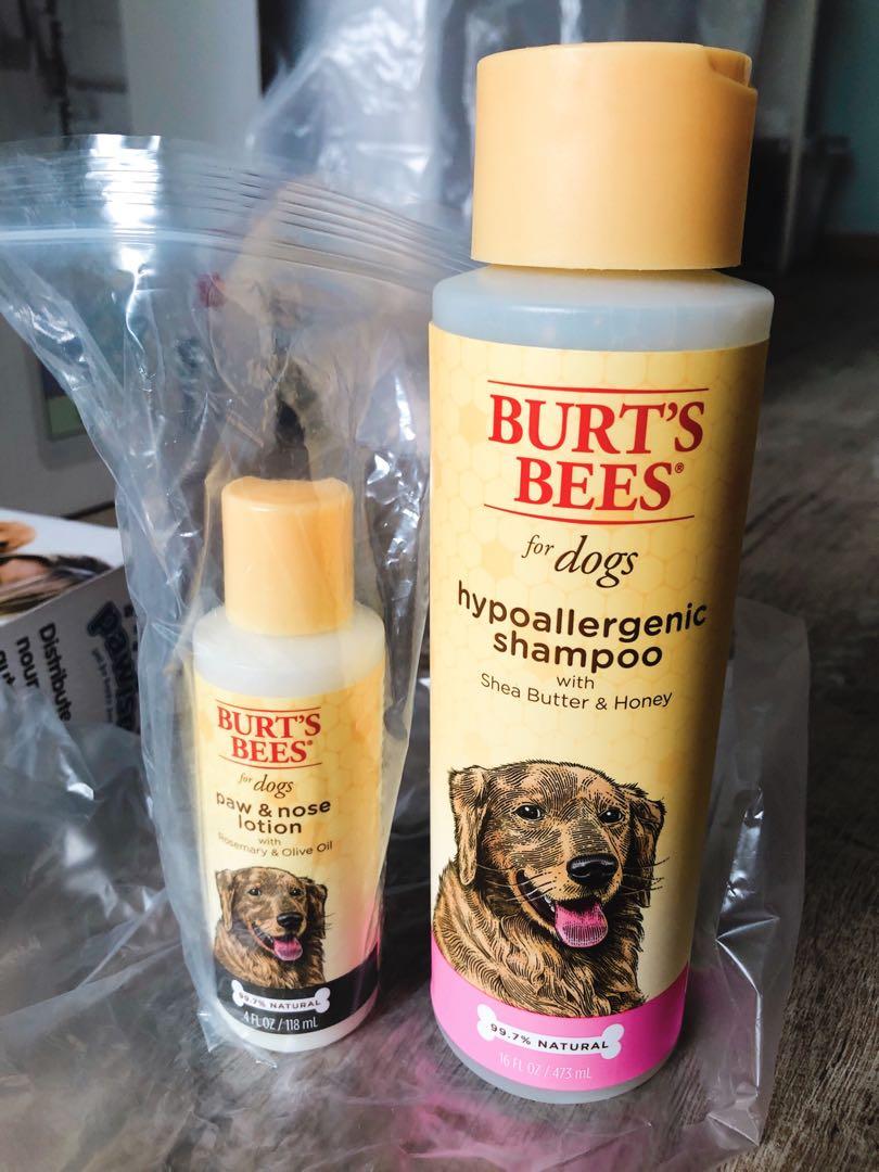dog nose lotion