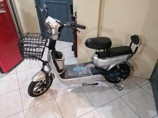 GoGo EBike (Brand New)