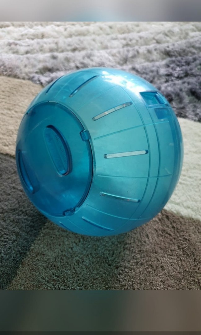 Hamster Ball, Pet Supplies, Homes & Other Pet Accessories on Carousell