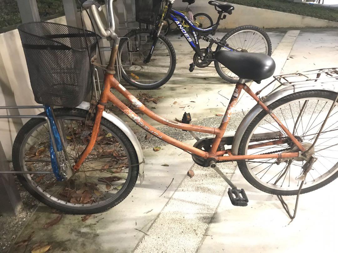 Japanese bike basket 2025