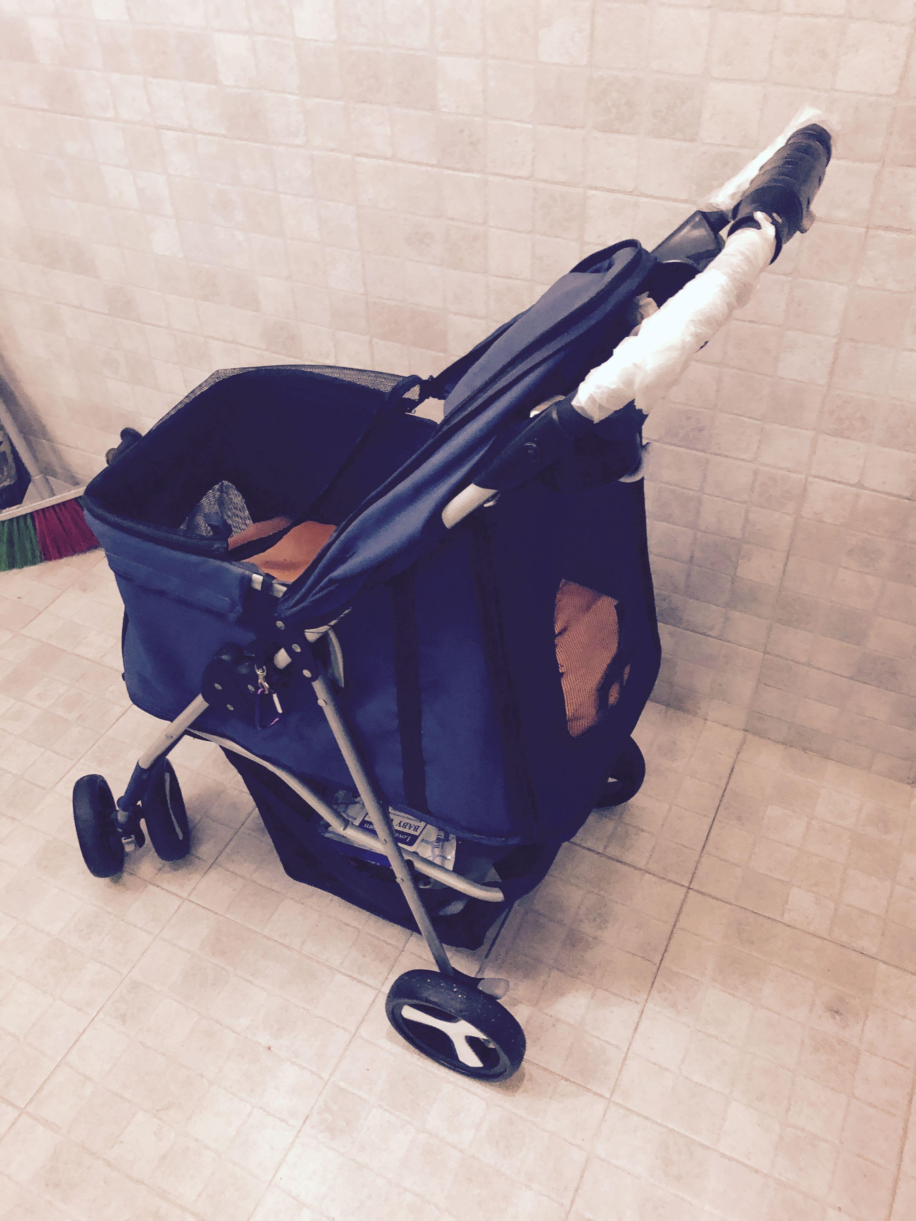 Preloved 2025 dog stroller