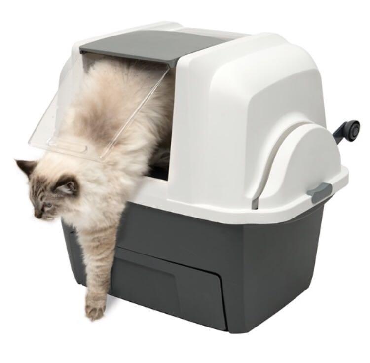 Home Animal Medical Center Veterinary Hospital Kedai Kucing Ttdi