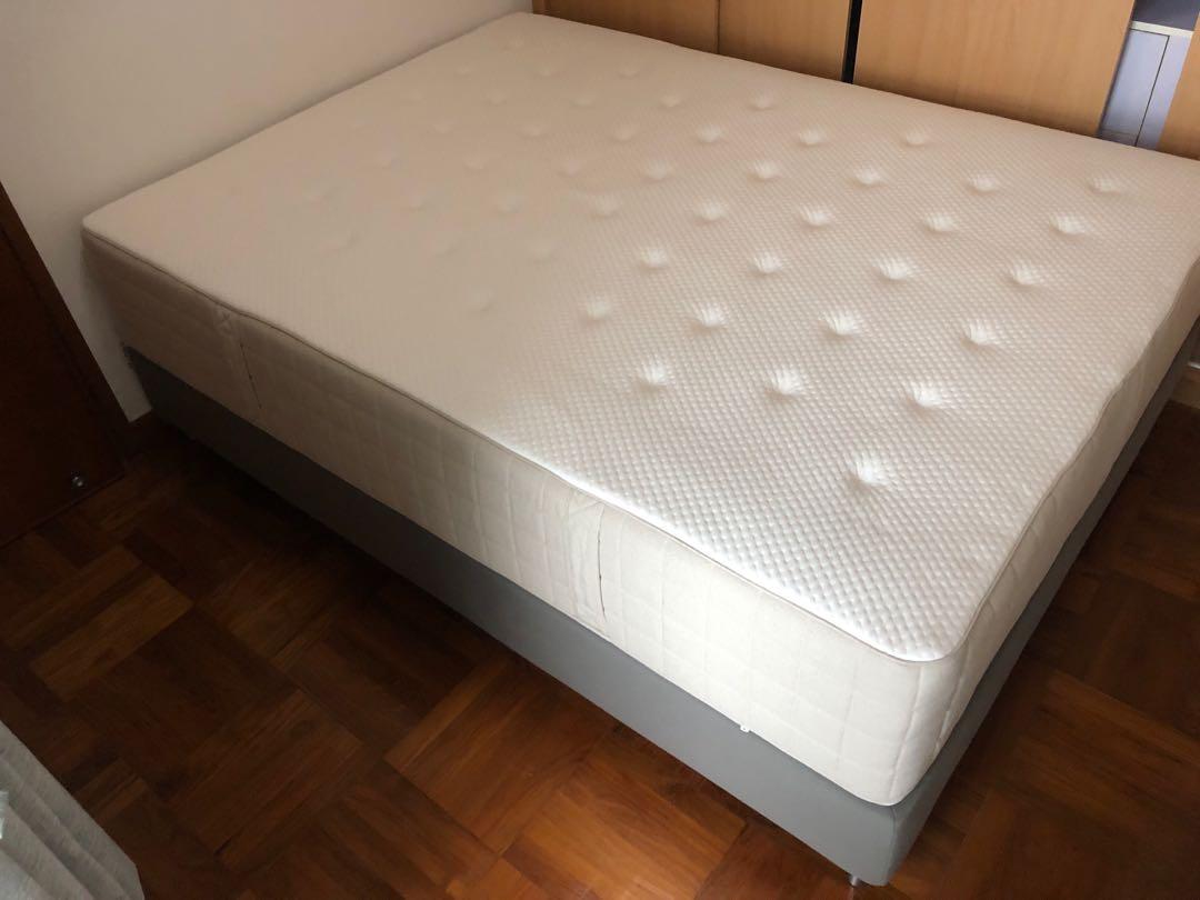 全新5尺床架連ikea 厚身 長0cm闊154cm 床褥 傢俬 家居 傢俬 床架及床褥on Carousell