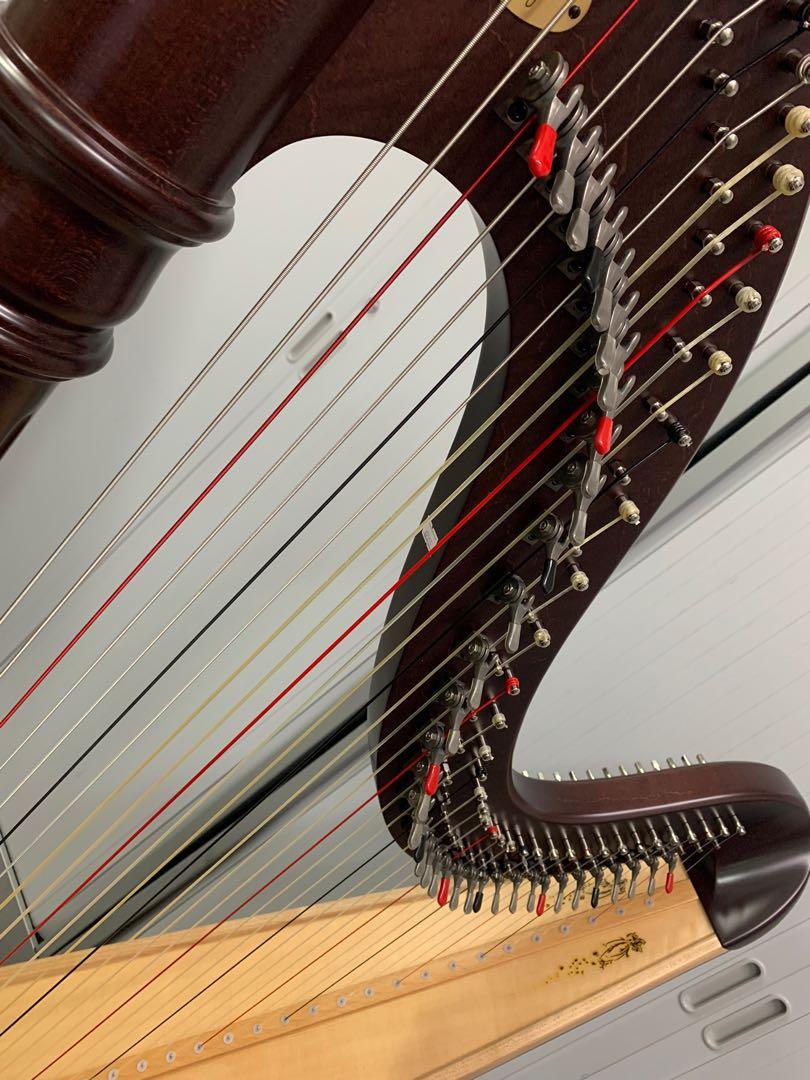 全新 Lyon & Healy Prelude 40 lever harp, 興趣及遊戲, 音樂、樂器 & 配件, 樂器 Carousell