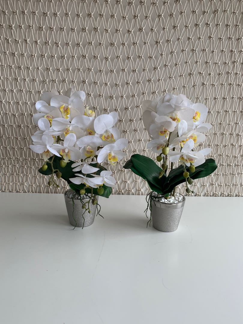 Artificial White Orchids/Phalaenopsis, Gardening, Flowers & Bouquets on