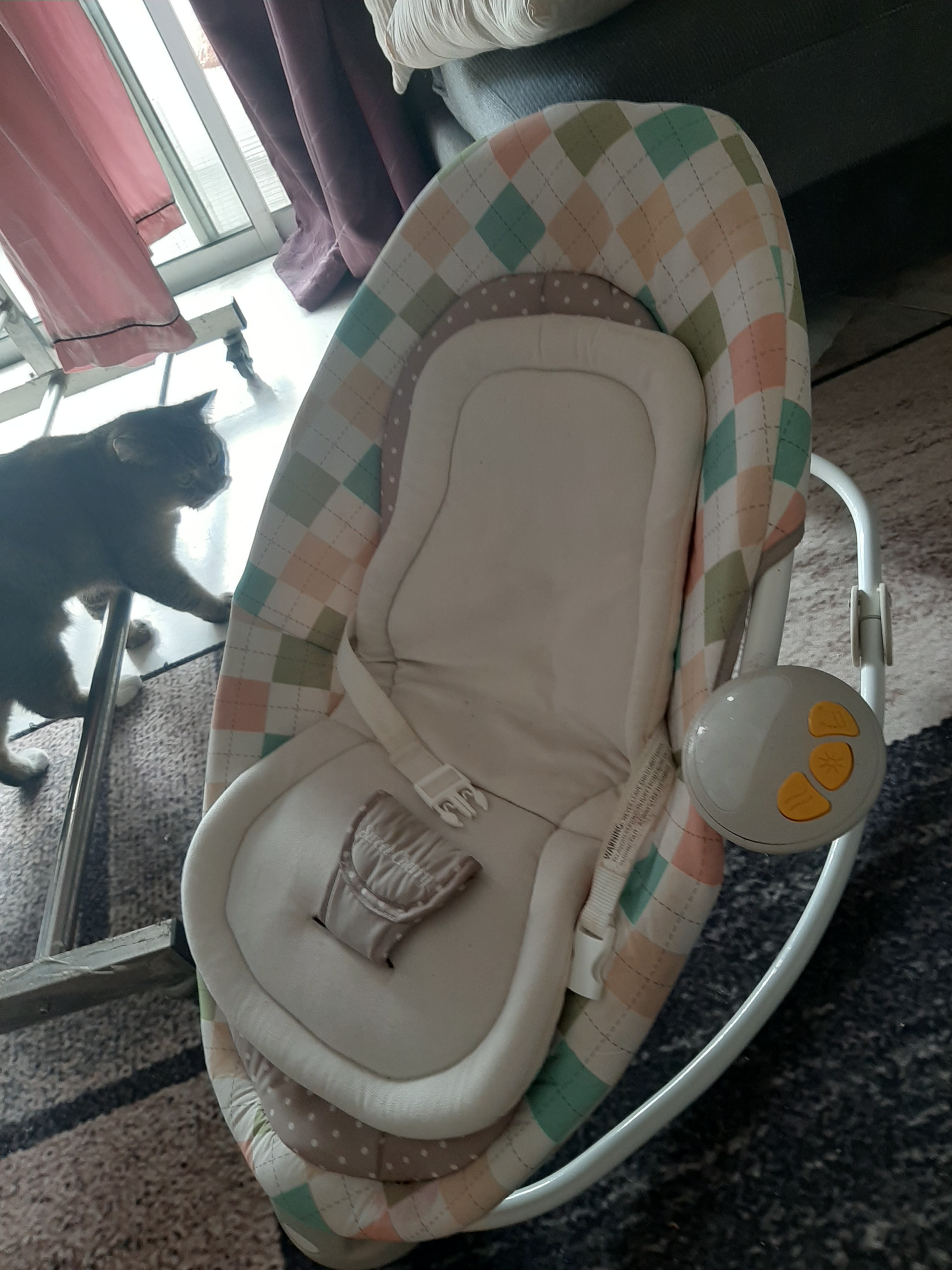 baby bouncer sweet cherry