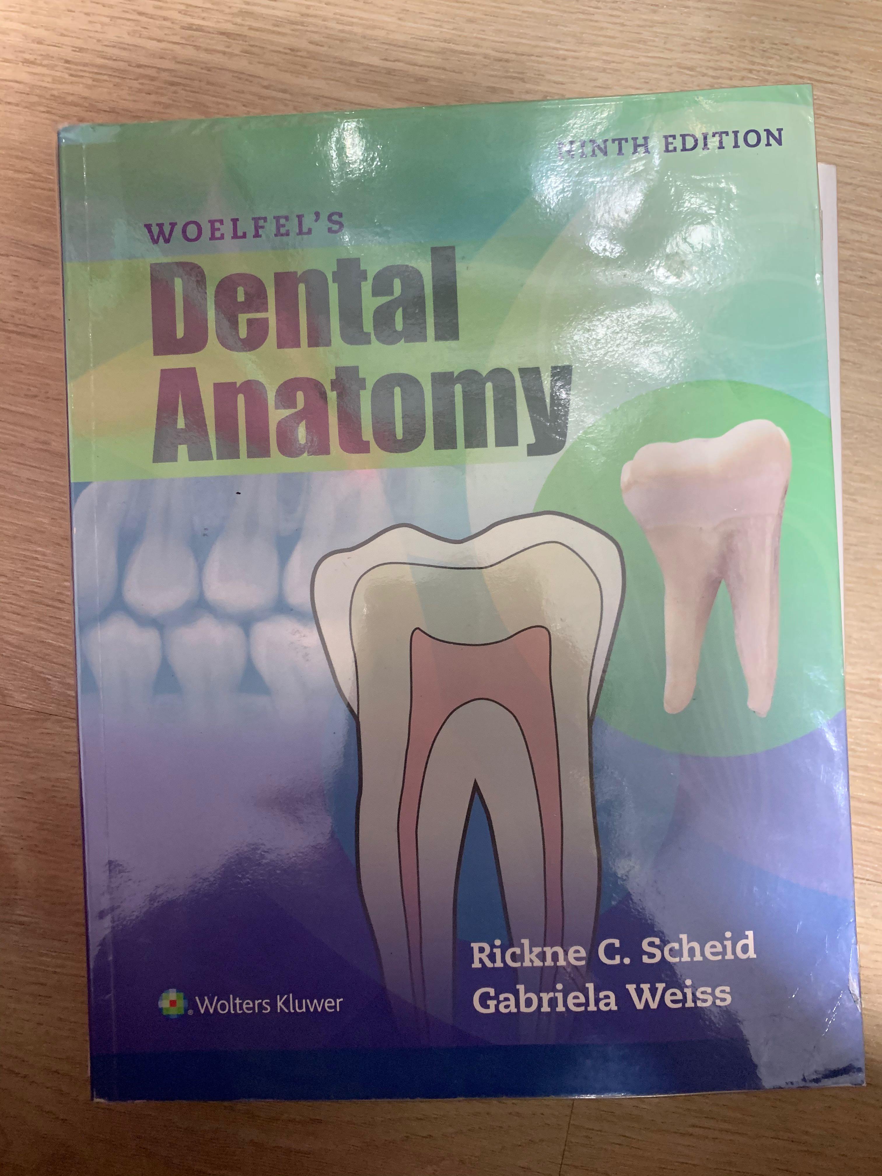 on　Dental　Textbook　Textbooks　Anatomy　Magazines,　(Woefel's),　Books　Toys,　Hobbies　Carousell
