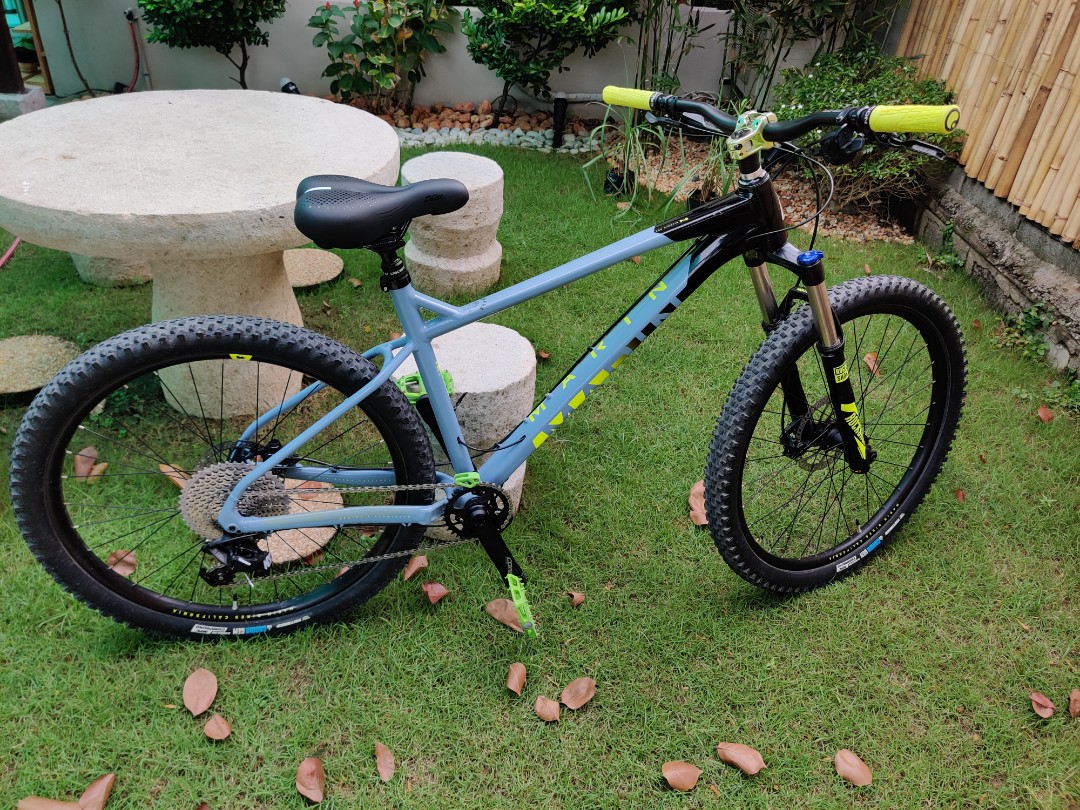 ecotric fat bike