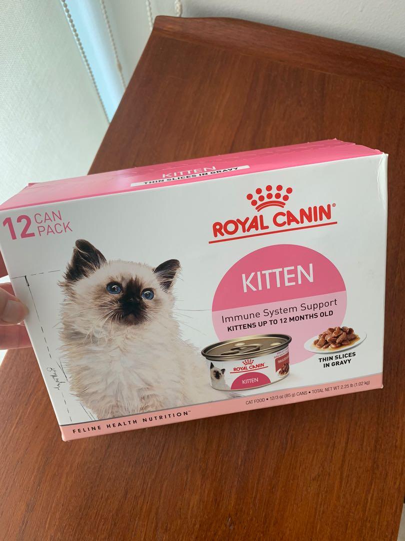 Royal Canin Kitten Food Pet Supplies For Cats Cat Food On Carousell