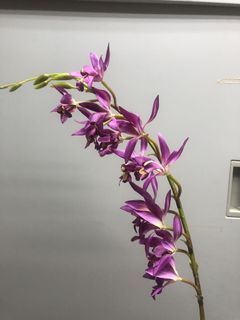 （分類：）位於 。 由 j2526 提交（商品編號 1035420456，圖片 1）。簡介： 。
