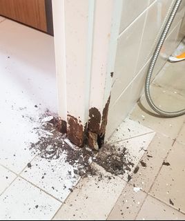 (Category: ) located in . Submitted by ij_home_maintenance (Listing ID 1035491243, Image 1). Description: .