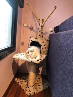 Used Cat tower
